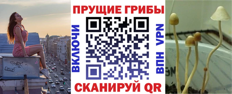 наркотики  Волжский  Галлюциногенные грибы MAGIC MUSHROOMS 
